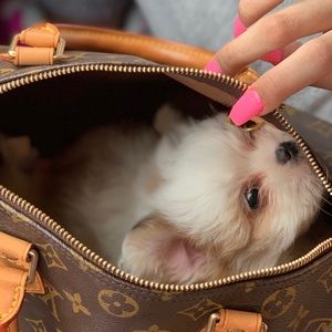 Meet your Posher, Cindy